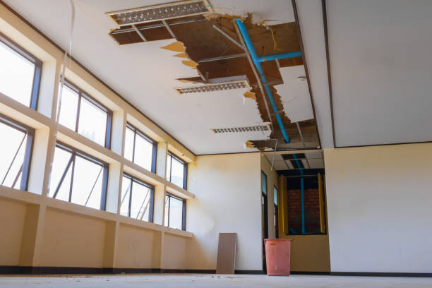 Best Carpet water damage restoration  in Fussels Corner, FL