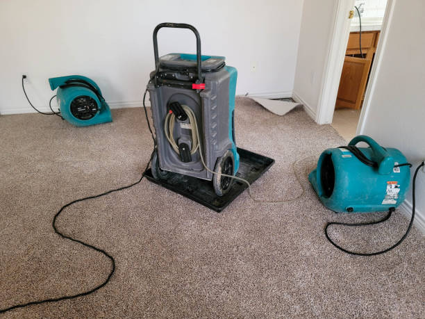Best Fire Damage Restoration  in Fussels Corner, FL