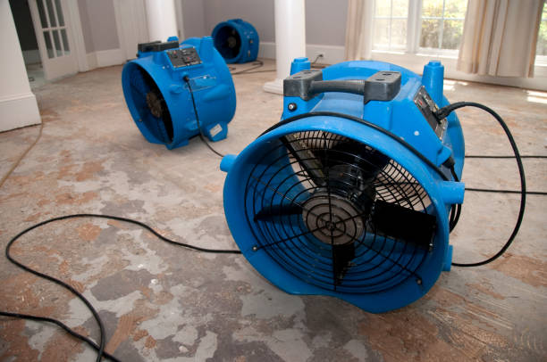 Water damage restoration process in Fussels Corner, FL