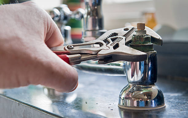 Best Professional water damage repair  in Fussels Corner, FL