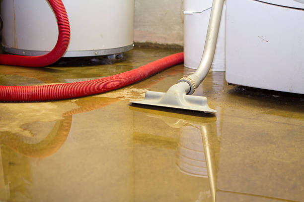 Best Mold removal after water damage  in Fussels Corner, FL