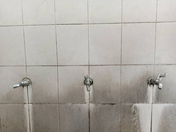 Best Water damage restoration near me  in Fussels Corner, FL