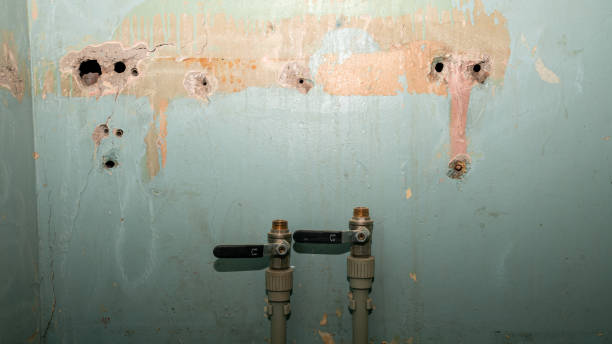 Best Flood restoration services  in Fussels Corner, FL