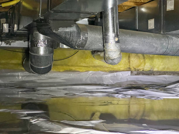 Best Basement water damage restoration  in Fussels Corner, FL